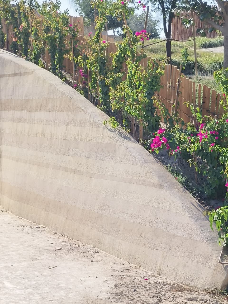 Red Sea Global - View 12