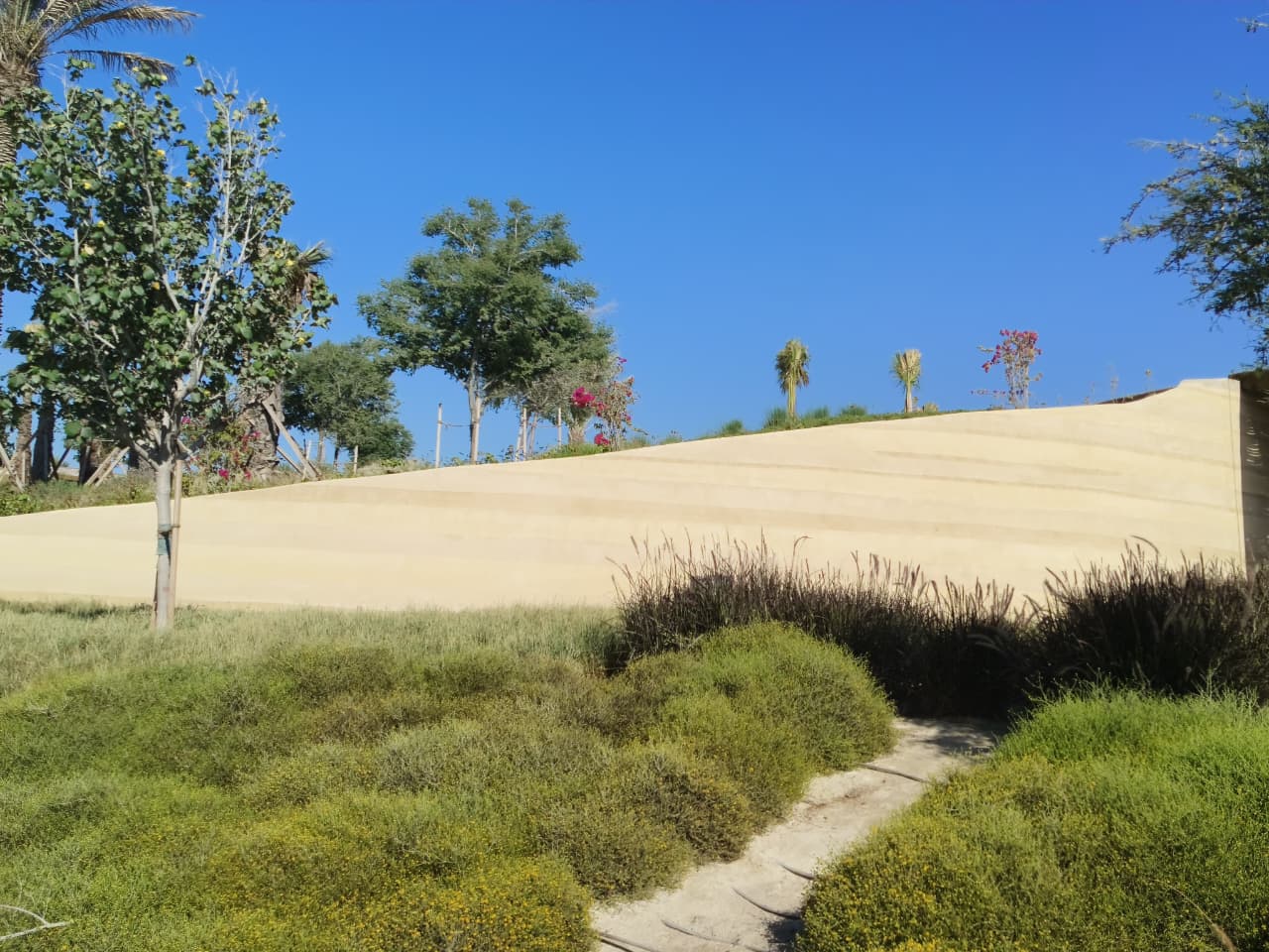 Red Sea Global - View 23